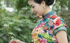 九界修神txt下载